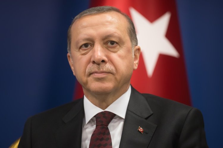 נשיא טורקיה ארדואן (צילום: shutterstock)