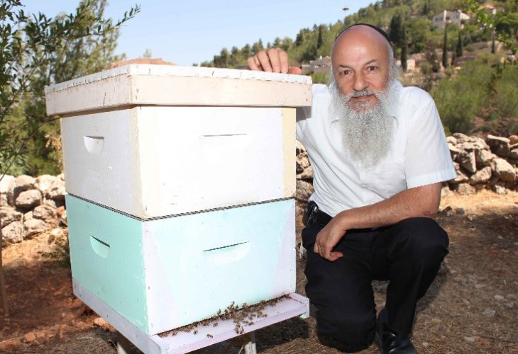 שאול טאוסון במכוורת