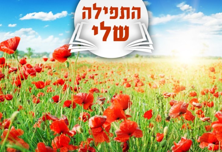 (צילום: shutterstock)