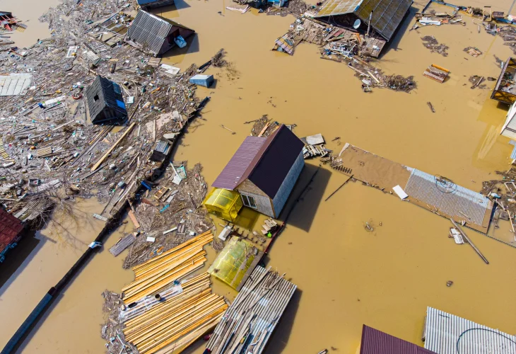 סימולציה (קרדיט: shutterstock)