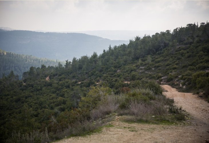 (אילוסטרציה, פלאש 90)