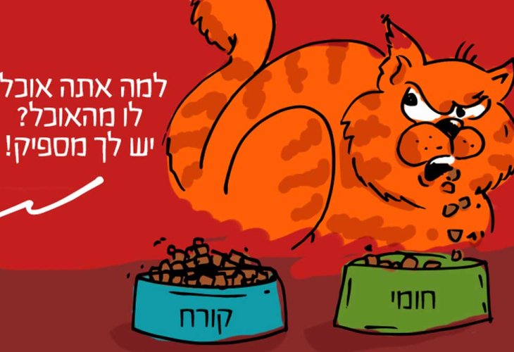 (איור: ר’ עמית יעקוביצקי)