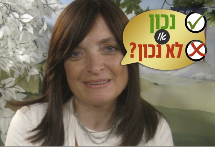 מנוחה פוקס