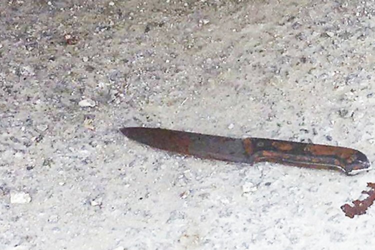 הסכין שבה השתמש המחבל (צילום: דובר צה"ל)