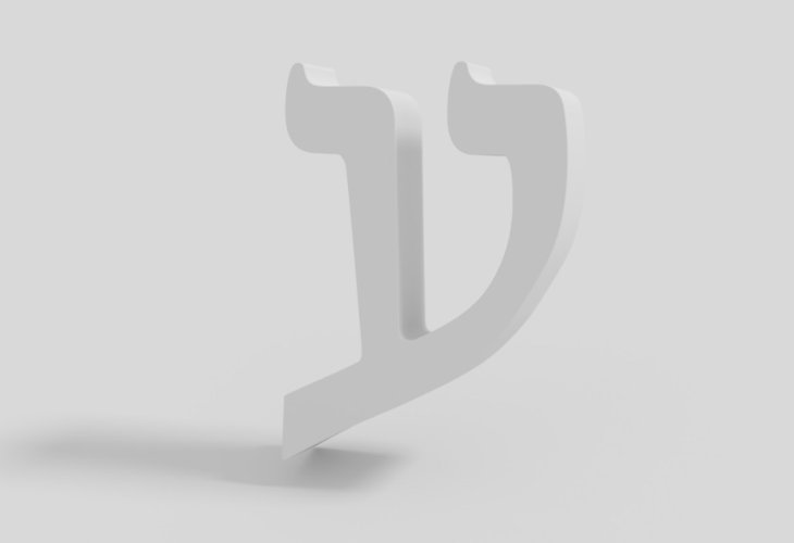 (צילום: shutterstock)