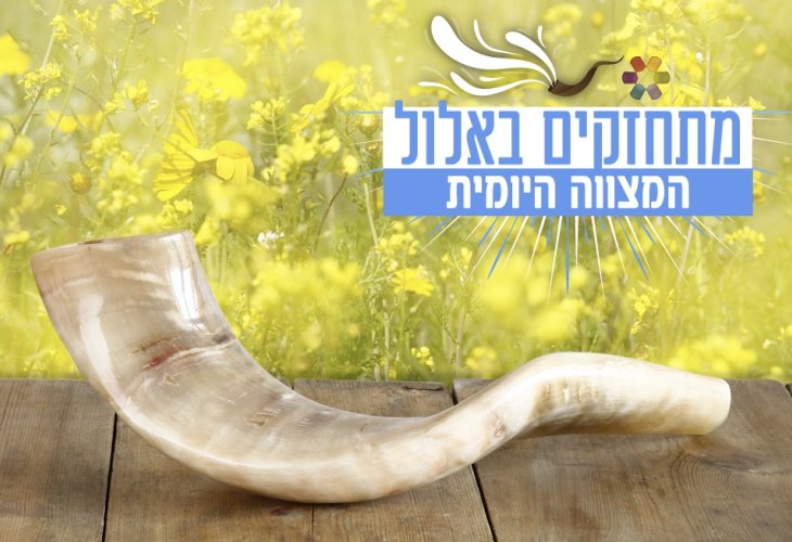 (צילום: shutterstock)