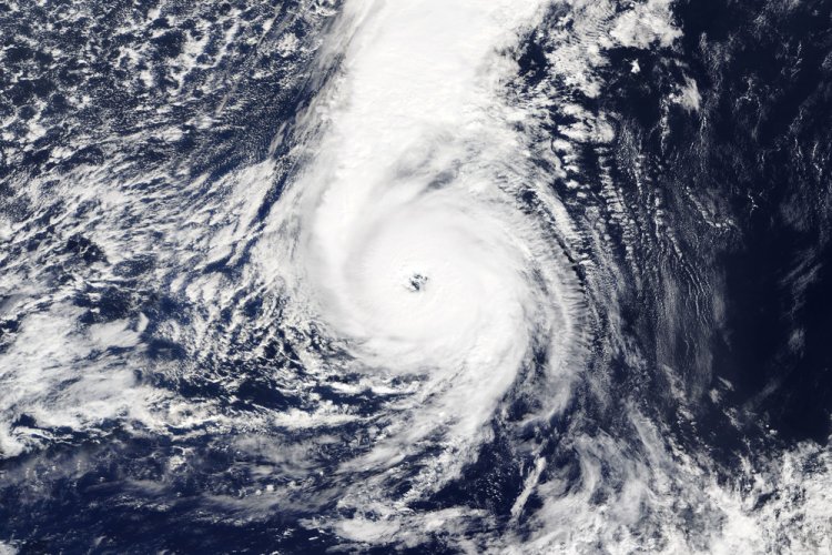 הוריקן "אופליה" (צילום: shutterstock)