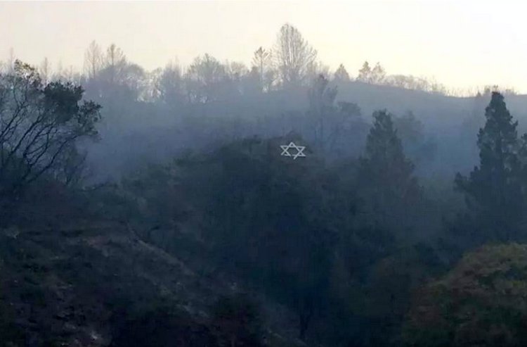 מגן הדוד באמצע היער שנשרף כליל