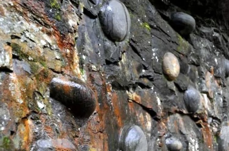ביצי האבן שמיוצרות על ידי ההר (צילום מסך)