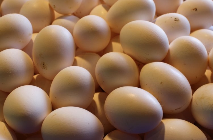 ביצים (צילום אילוסטרציה: פלאש 90)