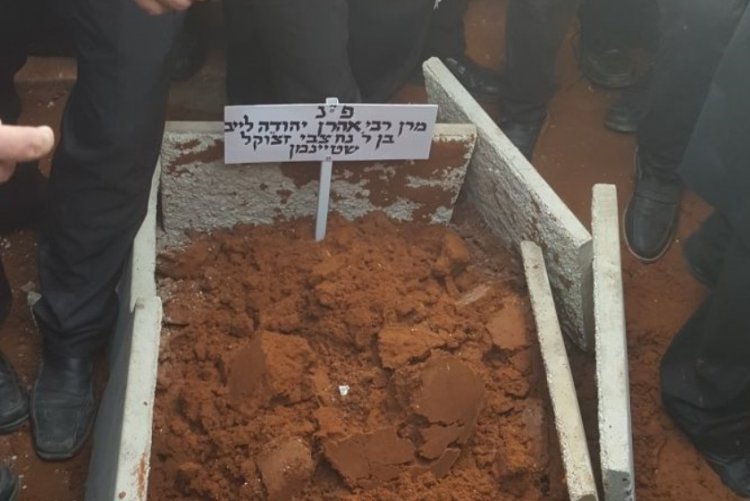 צילום: מני וקשטוק