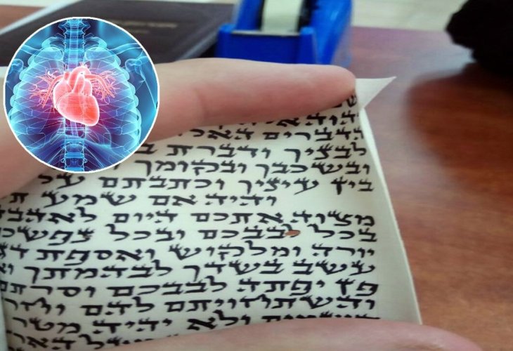 ברקע: המילה לב בתפילין הפסולות 