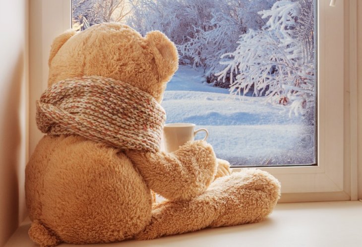 (צילום: shutterstock)