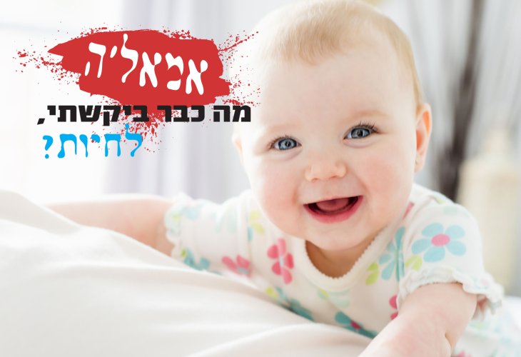 (צילום אילוסטרציה: shutterstock)