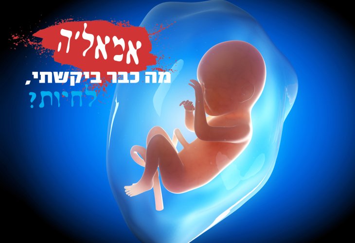 (צילום: shutterstock)