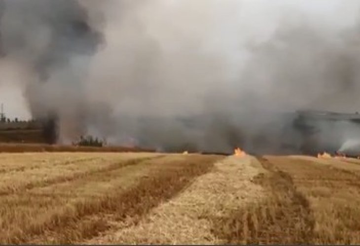 שדות עולים באש כתוצאה מטרור העפיפונים (צילום מסך)