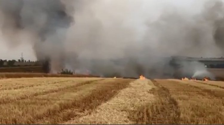 שדות עולים באש כתוצאה מטרור העפיפונים (צילום מסך)