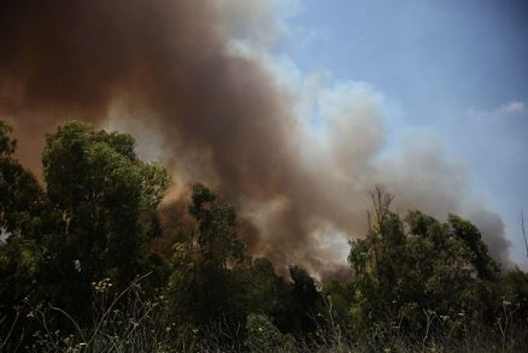 שריפה בעוטף עזה (צילום: Edi Israel/Flash90)