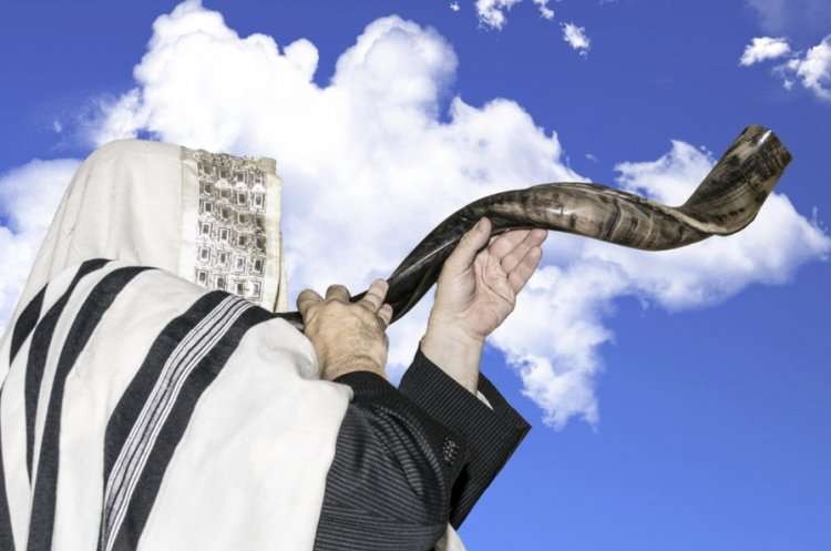 (צילום: shutterstock) (צילום: shutterstock)