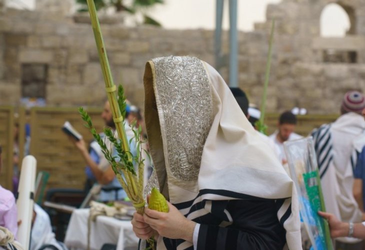 (צילום: shutterstock)