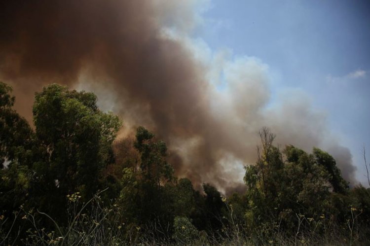 שריפה בעוטף עזה (צילום: אדי ישראל, פלאש 90)