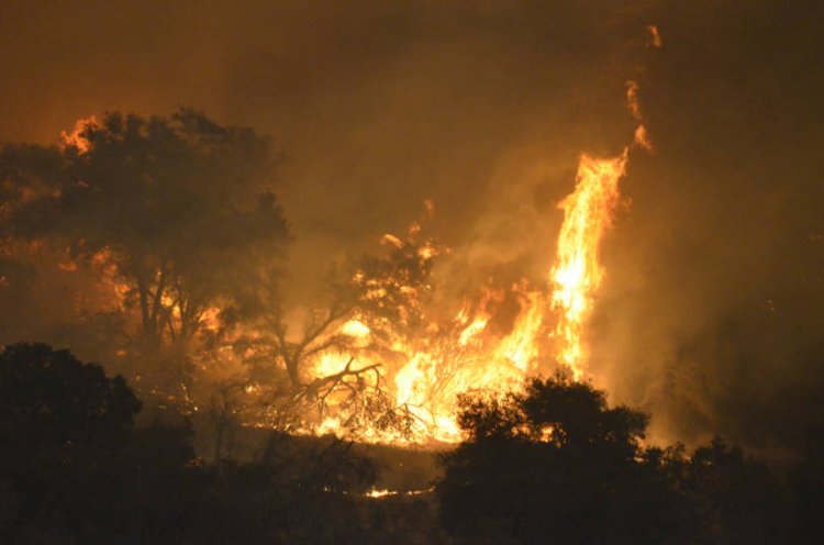 שריפה בקליפורניה, תמונת ארכיון (צילום: שאטרסטוק)