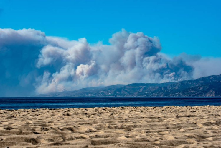 העשן הסמיך של השריפה בדרום קליפורניה (צילום: שאטרסטוק)