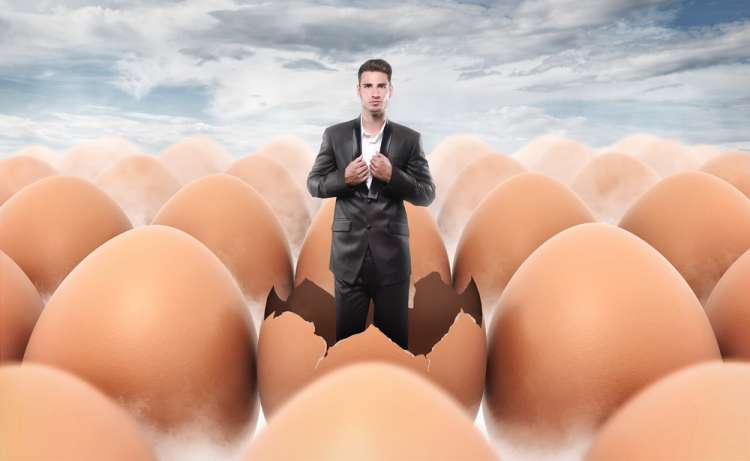 (צילום אילוסטרציה: shutterstock)