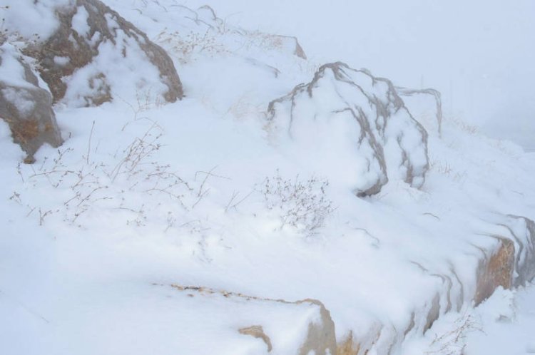 שלג בחרמון, תמונת ארכיון (צילום: באסל עוידאת, פלאש 90)