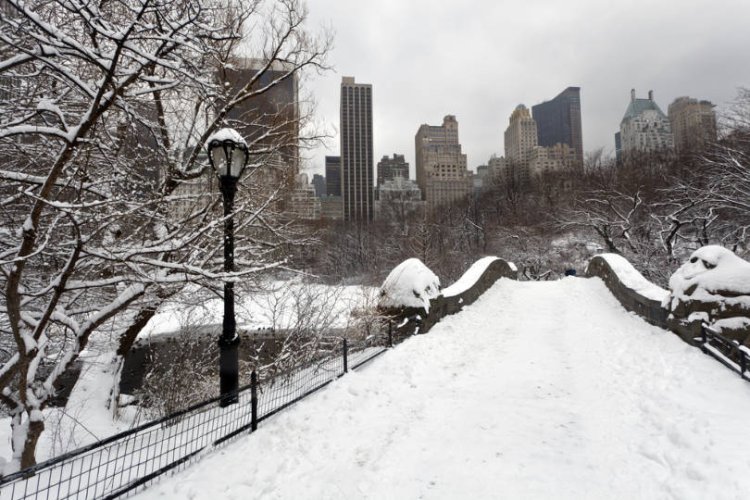שלג בניו יורק, תמונת ארכיון (קרדיט: שאטרסטוק)