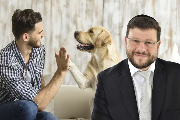 (צילום: shutterstock) (צילום: shutterstock)