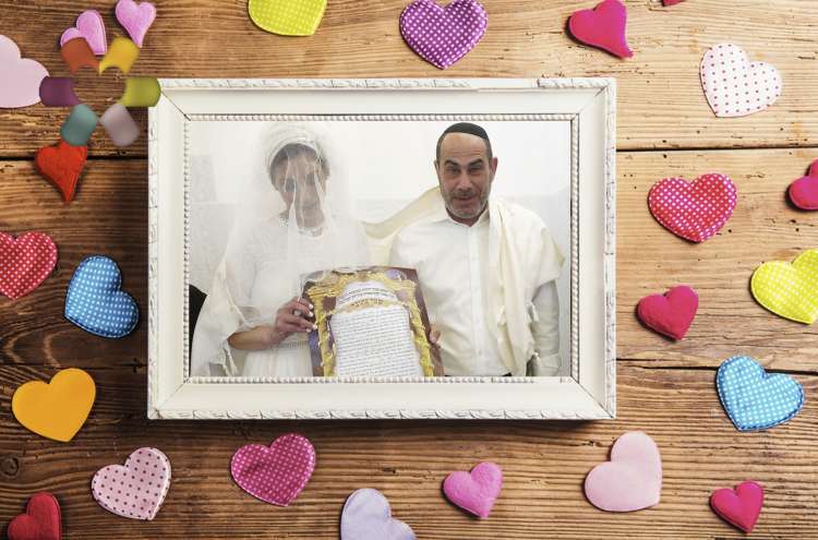 אורטל ושפריר לוי אורטל ושפריר לוי
