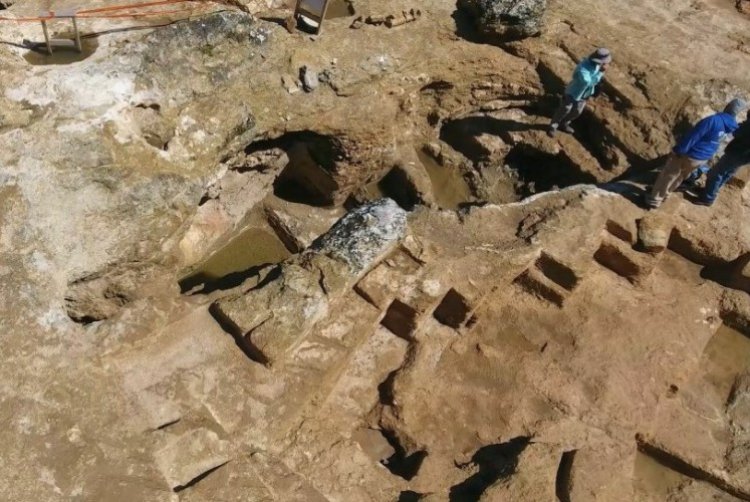 אתר החפירה הארכיאולוגית בשרפאת (צילום: שי הלוי, רשות העתיקות)