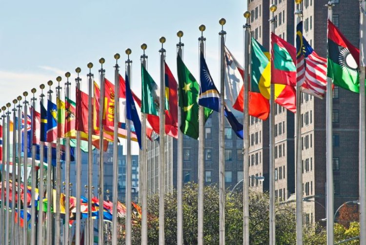 דגלי המדינות מחוץ למטה האו"ם בניו יורק (צילום: שאטרסטוק)