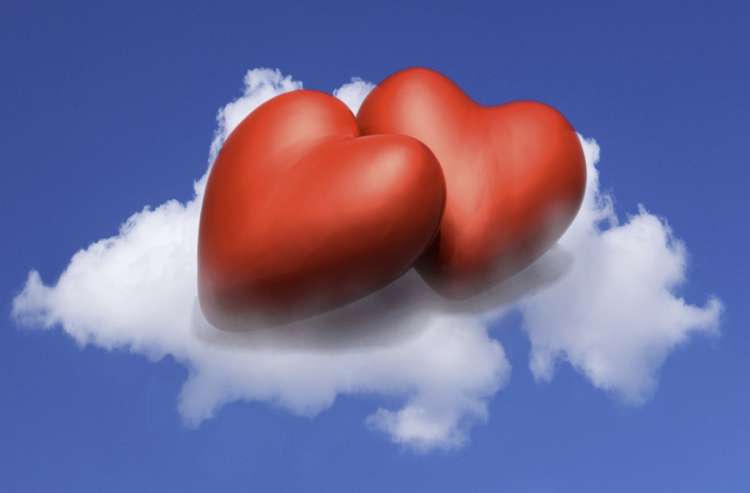 (צילום: shutterstock) (צילום: shutterstock)