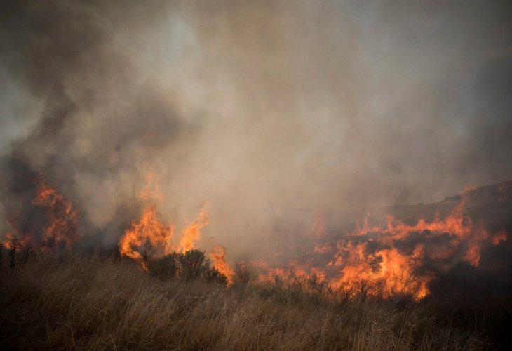 שדה בעוטף עזה בוער, בשרפה שפרצה מבלוני תבערה (צילום: יונתן זינדל, פלאש 90)