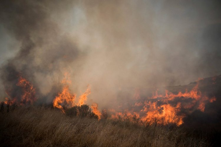 שדה בעוטף עזה בוער, בשרפה שפרצה מבלוני תבערה (צילום: יונתן זינדל, פלאש 90)