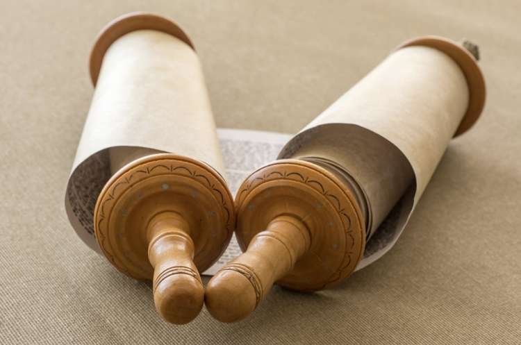 (צילום: shutterstock) (צילום: shutterstock)