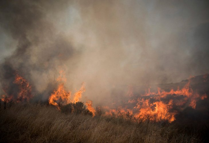 שרפה בעוטף עזה (צילום: יונתן זינדל, פלאש 90)