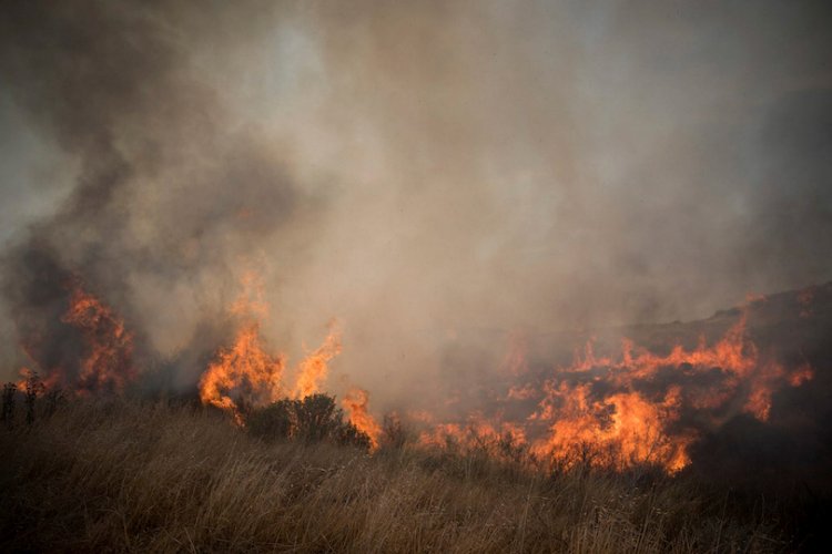שרפה בעוטף עזה (צילום: יונתן זינדל, פלאש 90)
