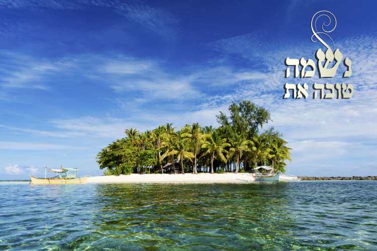 (צילום: shutterstock) (צילום: shutterstock)