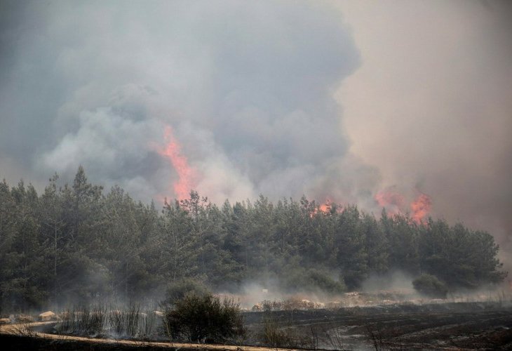 השריפה ליד היישוב אדרת, אתמול (צילום: נועם רבקין פנטון, פלאש 90)