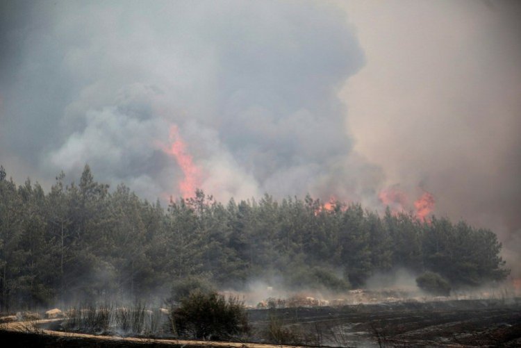 השריפה ליד היישוב אדרת, אתמול (צילום: נועם רבקין פנטון, פלאש 90)