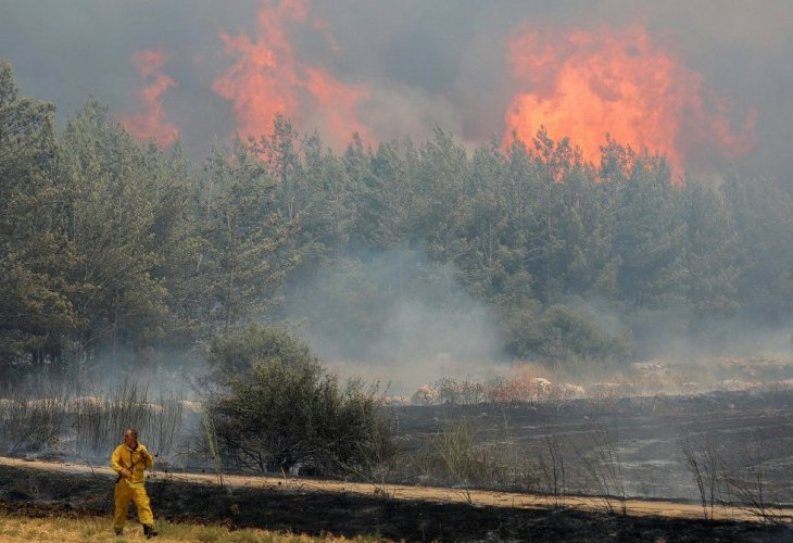 השריפה ליד היישוב אדרת בשבוע שעבר (צילום: נועם רבקין פנטון, פלאש 90)