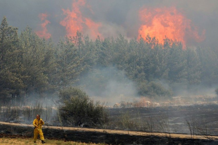 השריפה ליד היישוב אדרת בשבוע שעבר (צילום: נועם רבקין פנטון, פלאש 90)