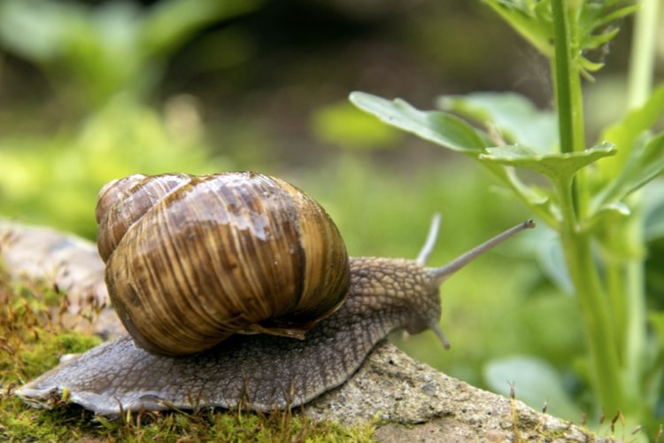 (צילום: shutterstock) (צילום: shutterstock)