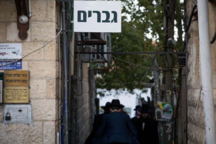 (צילום: יונתן זינדל, פלאש 90) (צילום: יונתן זינדל, פלאש 90)