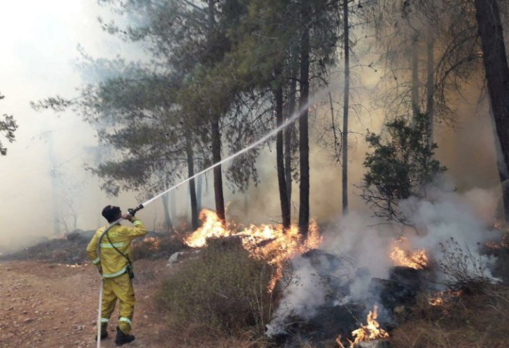 (צילום: דוברות כב"ה, מחוז ירושלים)