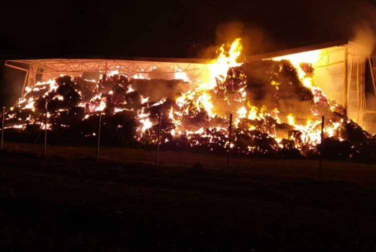 השריפה בנהלל (קרדיט: דוברות כבאות והצלה)
