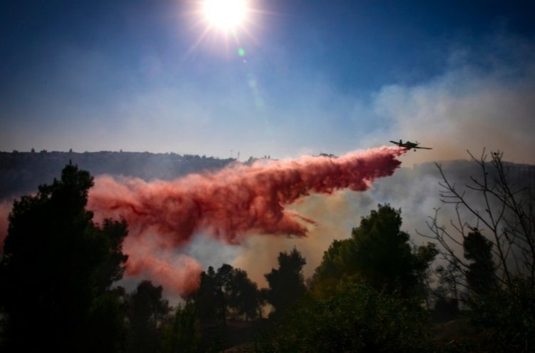 השריפה במבשרת ציון, היום (צילום: Olivier Fitoussi/FLASH90)
